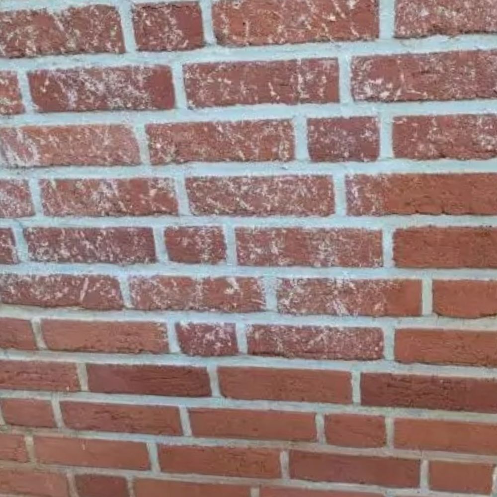 Fassade